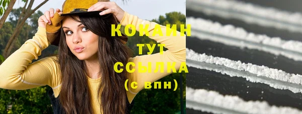 соль ск Лиски