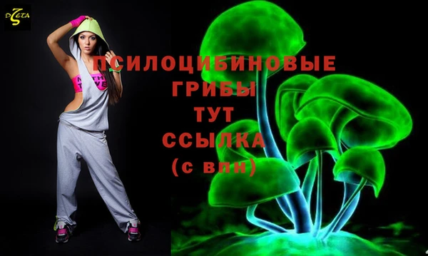 соль ск Лиски