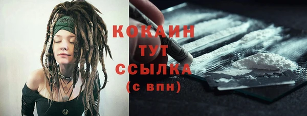 соль ск Лиски