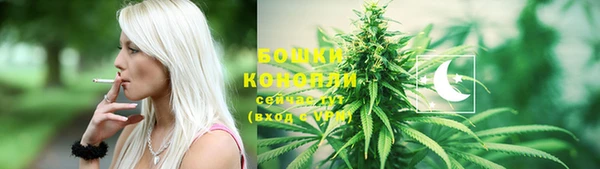 соль ск Лиски