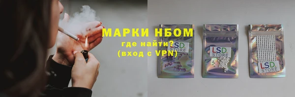 стаф Липки