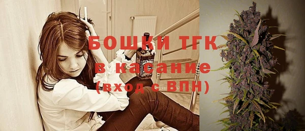 молекула духа Лихославль