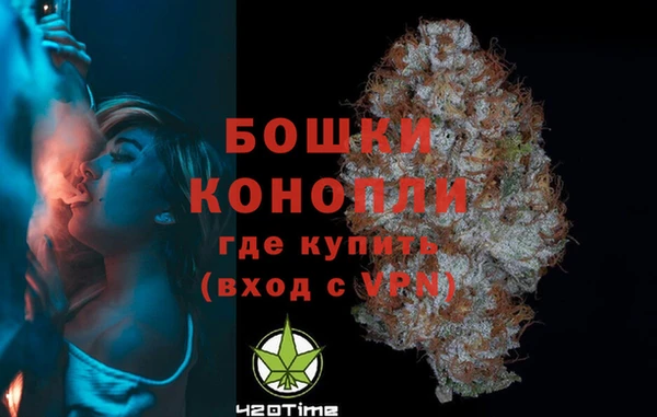 стаф Липки