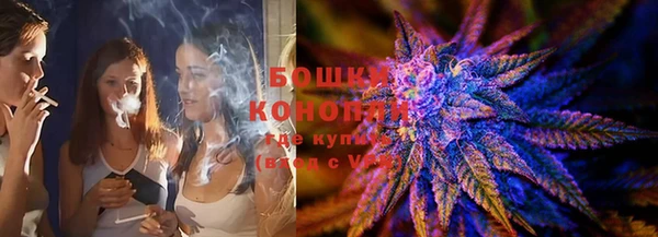 молекула духа Лихославль