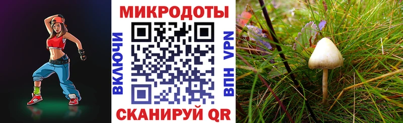 blacksprut как войти  цена наркотик  Называевск  Псилоцибиновые грибы Psilocybine cubensis 